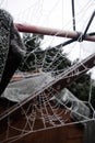 Close Up of a Frozen Frosty Spiders Cobweb on a Misty Dew Morning Royalty Free Stock Photo