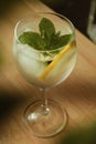 Close-up of a frozen glass. With water, lemon, mint and ice-cubes. Royalty Free Stock Photo