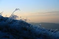 Close up of frozen grass on a hillside covered in ice, with a hazy sunset in the background.