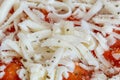 Close-up on frozen grated cheese on frozen pizza Royalty Free Stock Photo