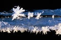 Close up at frozen ice crystals on a ice a cold sunny winter Royalty Free Stock Photo