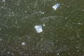 Close-up of frozen icy water surface of a pond Royalty Free Stock Photo
