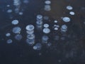 Close up of a frozen lake, airbubbles frozen in the ice, great for winter backgrounds or to give your design a cold feel Royalty Free Stock Photo
