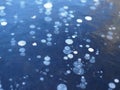 Close up of a frozen lake, airbubbles frozen in the ice, great for winter backgrounds or to give your design a cold feel