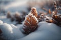 Close-up of frozen leaves in the snow. Selective focus.