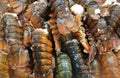 Close up on frozen lobster tails for sale