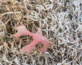 Close-up frozen maple leaves on snowy grass ground Royalty Free Stock Photo