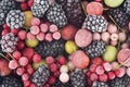 Close up of frozen mixed berries - red currant, white currant, blackberry, gooseberry and black currant Royalty Free Stock Photo