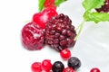 Close up of frozen mixed fruit Royalty Free Stock Photo