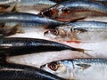 Frozen Saba Mackerel Fish for Sale at Supermarket