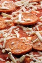 Closeup on frozen salami pizza Royalty Free Stock Photo