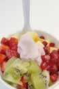 Close up frozen yogurt with mixed fruit in small bowl Royalty Free Stock Photo