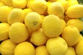Close up fruits in market shelf. Ripe Yellow Lemons Close-up Background Or Texture. Lemon Harvest, Many Yellow Lemons