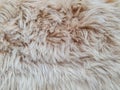 Close up full area brown fur texture background Royalty Free Stock Photo