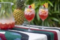 Full Frame image of two Glasses of Sangria on a Multicolored Cloth with Lady Palms in the Background.