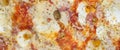 Close-up full frame shot of delicious capricciosa pizza Royalty Free Stock Photo