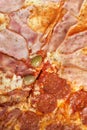 Close-up full frame shot of delicious four seasons pizza Royalty Free Stock Photo