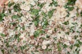 Close-up full frame shot of delicious mushroom pizza Royalty Free Stock Photo