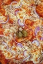 Close-up full frame shot of delicious tuna pizza Royalty Free Stock Photo