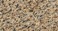 Close-up Texture of Polished Beige and Black Speckled Granite Stone rock background Royalty Free Stock Photo