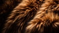 Close-up of a fur coat. Shallow depth of field