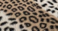 Close-up of fur with a leopard-like pattern, featuring black rosettes against a tan background. The Royalty Free Stock Photo