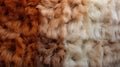 A close up of a fur Royalty Free Stock Photo