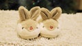 Close up on furry bunny sleepers on white carpet in front of Christmas tree.