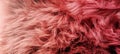 Close-up of furry carpet colored fur for texture or background
