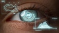 Close up futuristic ceo eye analysing process checking financial benefits