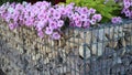 Close-up of a gabion support wall with wire mesh reinforcement topped with pebbles and tiles Royalty Free Stock Photo