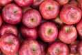 Close up of a Gala red apples Royalty Free Stock Photo