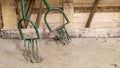 Close-up on garden claws, a kind of pitchfork, a tool used in the vegetable garden to refine the surface of the soil