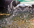 Close up of garden pond fountain Royalty Free Stock Photo