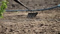 Close-up, Gardener loosens black soil, ground using raker in vegetable garden in farmland, Leveling, plowing ground with