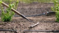 Close-up, Gardener loosens black soil, ground using raker in vegetable garden in farmland, Leveling, plowing ground with