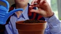 Close up of gardener working on planting seed in pot for seedlings Royalty Free Stock Photo