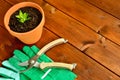 Close-up gardening tools and objects on old wooden background with copyspace