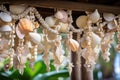 close-up of garlands made of seashells hanging from a backyard pergola