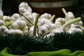 Close up of garlic bulbs, decoratively arranged, vegan, vegetarian food