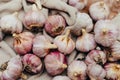 Close-up garlic bulbs and garlic cloves on wodeen background. Ga Royalty Free Stock Photo