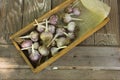Close-up garlic bulbs and garlic cloves on wodeen Royalty Free Stock Photo