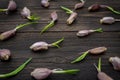 Close up of garlic with green germinal sprouts on rustical wooden table. Food background