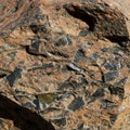 A close-up of a geological formation featuring a sedimentary rock with angular Royalty Free Stock Photo