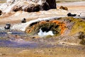Close up of geyser hole with hot bubbling boiling water and rusty reddish edge in dry barren arid environment Royalty Free Stock Photo