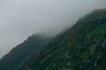 Close up of a giant green mountain surrounded by the mist in europe with copy space Royalty Free Stock Photo