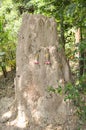 Giant termite mound Royalty Free Stock Photo