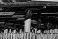 Close-up of ginseng shade made from old wooden lathes and posts in black and white