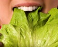 Close up girl is eating a salad leaf