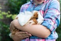 Close Up Of Girl Holding Pet Guinea Pig Outdoors In Garden Royalty Free Stock Photo